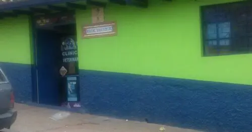 CLINICA VETERINARIA CALLE 6 CON 3 CLINICA VETERINARIA CALLE 6 CON 3